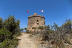 DSCN0924
