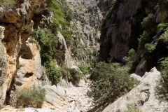 DSCN0970