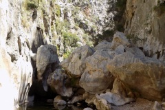 DSCN0977