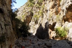 DSCN0981