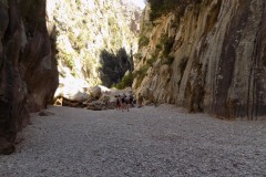 DSCN0984