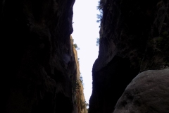 DSCN0998