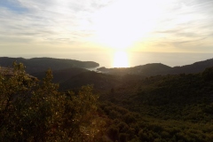DSCN1022